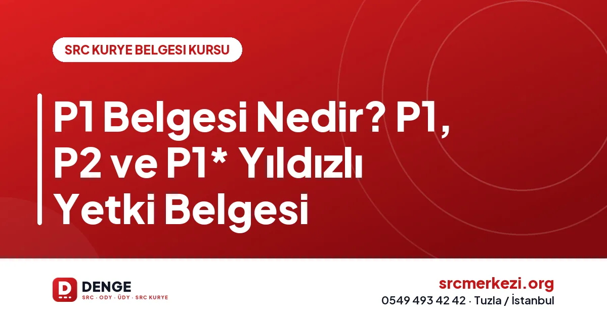 P1 Belgesi Nedir? P1, P2 ve P1* Yıldızlı Yetki Belgesi