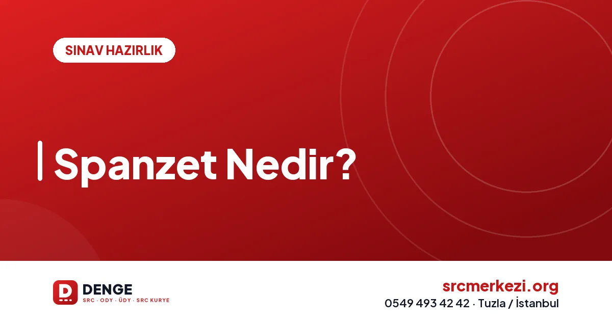 Spanzet Nedir?