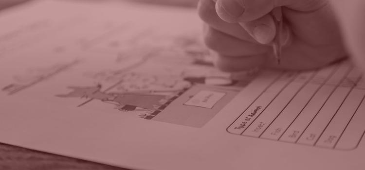 SRC Belgesi Örnek Sınav Soruları - 23 - 24 Temmuz