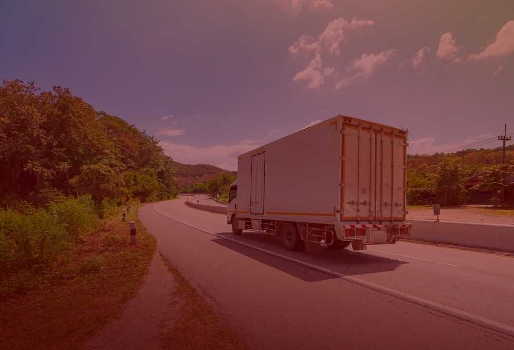 ÜDY 3 Belgesi İstenilen Yetki Belgesi Türleri Kamyonet